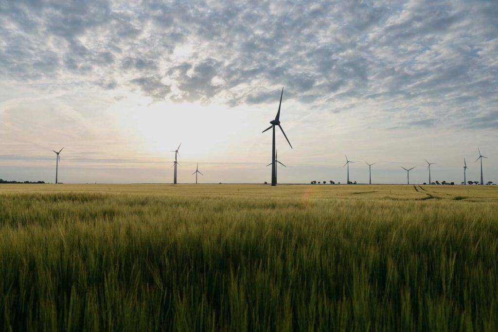 Softwareteam entwickelt intuitiven Oberfläche für die Energiebranche